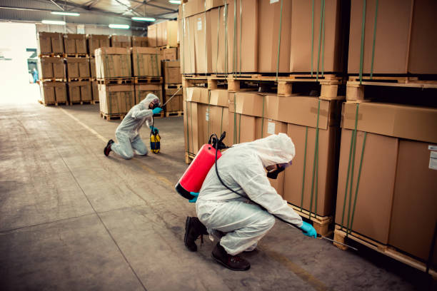 Best Bed Bug Extermination  in Tioga Terrace, NY