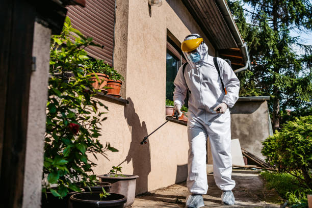 Best Insect Control  in Tioga Terrace, NY