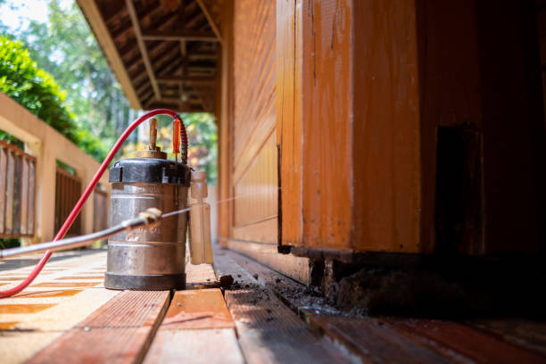 Best Best Pest Control Companies  in Tioga Terrace, NY