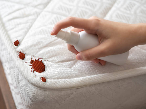 Best Wasp Removal Services  in Tioga Terrace, NY